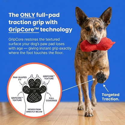 Anti-Slip Traction Pads for Dogs